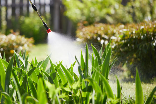24/7 Emergency Mosquito Control experts in Pender, NE